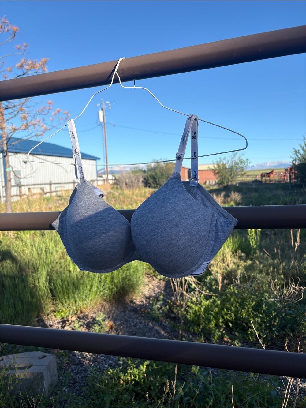 Victoria's Secret Gray Seamless T-Shirt Bra